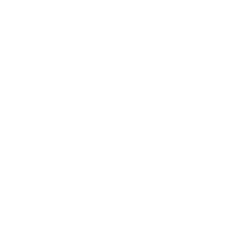 Zikoneta